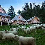 Szymkówka * Bukowina Tatrzańska